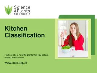 Discover the Relationship Between Plants in Your Kitchen