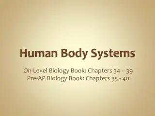 Understanding the Digestive System and Its Functions