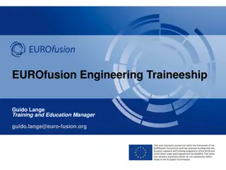 Cutting-Edge EUROfusion Engineering Projects and Traineeship Details