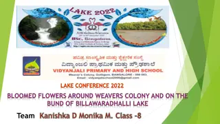Blooming Flowers Study at Weavers Colony and Billawaradhalli Lake