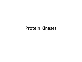 Protein Kinases: Functions, Classification, and Importance
