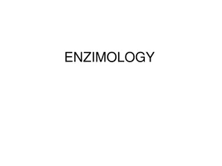 Understanding Enzymology and Chemical Reactions