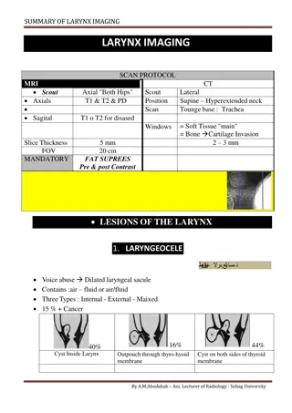 Larynx Imaging Findings and Diagnostic Protocol