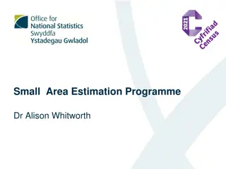 Small Area Estimation Programme: Advancements in Statistical Modeling