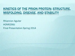 Prion Protein Kinetics: Structure, Misfolding, Disease Insights