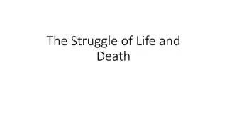 Exploring the Circle of Life and Death