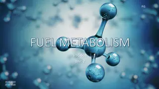 Understanding Brain Fuel Metabolism in Different Physiological States