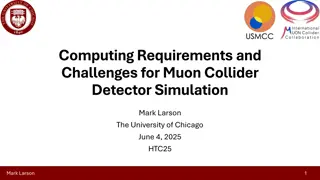 Muon Collider Detector Simulation: Computing Challenges and Requirements