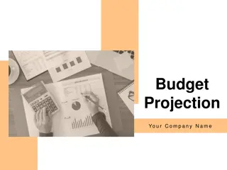 Budget Projection
