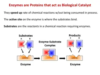 Understanding Enzymes Functionality and Specificity