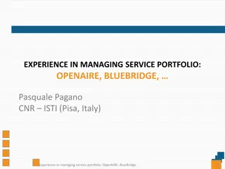 Managing Service Portfolio in Research and Innovation Projects