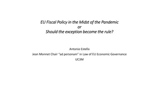 EU Fiscal Policy in the Midst of the Pandemic: Exception or Rule?