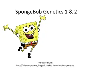 Genetics Questions on SpongeBob - Answer Key Provided
