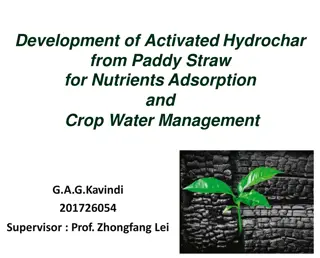 Activated Hydrochar from Paddy Straw for Nutrient Adsorption and Water Management