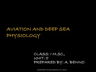 Understanding High-Altitude Physiology: Effects on Oxygen Levels