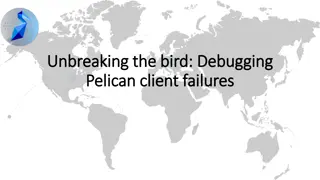 Troubleshooting Pelican Client Errors During File Transfers