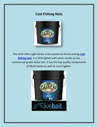 Cast Nets for Fishing, livebait.com