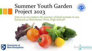 Youth Garden Project 2023: Empowering High School Students through Food Systems Exploration