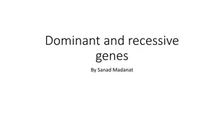 Understanding Dominant and Recessive Genes in Genetics