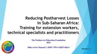 Reducing Postharvest Losses in Sub-Saharan Africa: Practical Solutions