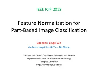 Feature Normalization for Part-Based Image Classification in ICIP 2013