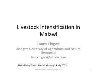 Livestock Intensification in Malawi: Challenges and Opportunities