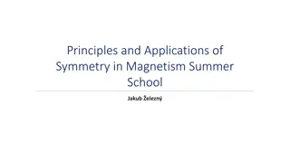 Insights into Symmetry and Magnetism in Summer School Curriculum