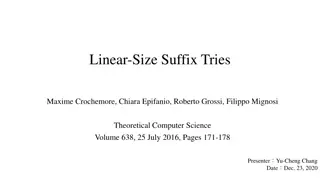 Compact Linear-Size Suffix Tries for Efficient Text Indexing