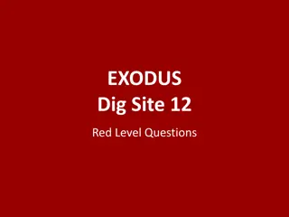 Insights on Exodus: Israelites' Complaints and Divine Provisions