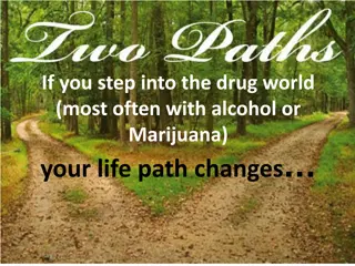 The Impact of Drug Use on Life Path Changes