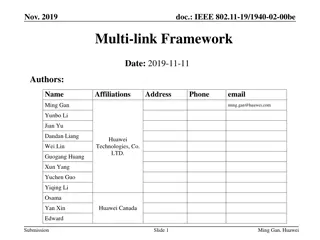 IEEE 802.11-19 Multi-link Framework Discussion