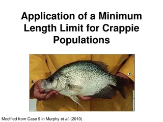 Application of Minimum Length Limit for Crappie Populations in Lake Alvin, SD