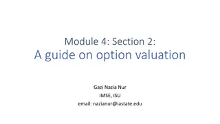 Guide to Option Valuation: Understanding Excel File