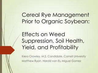 Rye Management for Organic Soybean: Effects on Weed Suppression and Soil Health