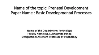 Understanding Prenatal Development: Stages and Significance