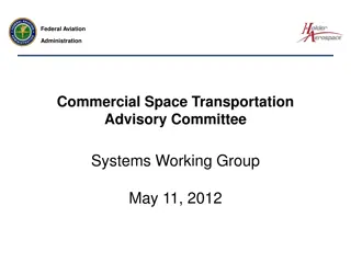 Federal Aviation Systems Working Group Agenda and Updates