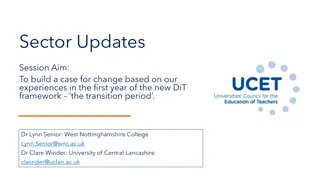Exploring the DiT Framework: Evaluations, Feedback, and Next Steps