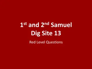 Samuel Dig Site 13 Red Level Questions