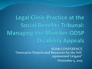 Innovative Projects and Resources for Self-Represented Litigants