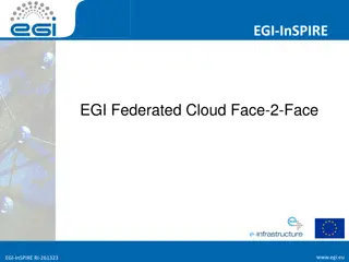 EGI-InSPIRE: Federated Cloud Services and Infrastructure Overview