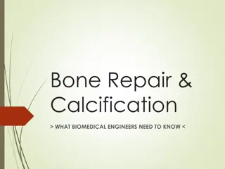 Biomedical Engineering Essentials for Bone Repair and Calcification