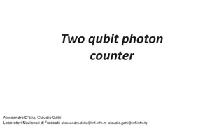 Quantum Circuit Simulation and Electromagnetic Modeling in Quantum Photonics
