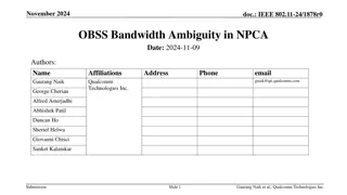 Understanding Bandwidth Ambiguity in NPCA for IEEE 802.11-24