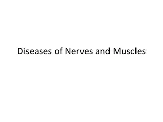 Understanding Nerve and Muscle Diseases: Diagnosis and Symptoms