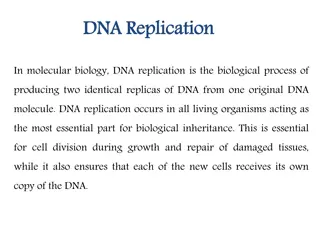 Understanding DNA Replication Process in Molecular Biology