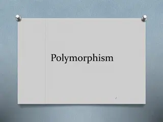 Understanding Polymorphism in Object-Oriented Programming