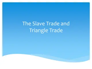 Understanding the Slave Trade and Triangle Trade History