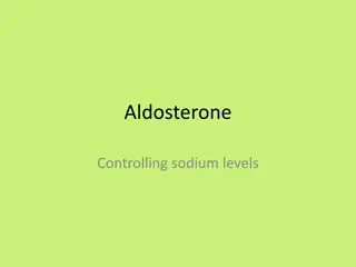 Understanding Aldosterone and Sodium Regulation in the Body