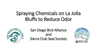 Reducing Odor on La Jolla Bluffs with Chemical Spraying - Safety Concerns