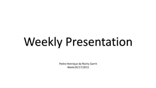 Wavelet-Based EEG Signal Feature Extraction: Pedro Henrique da Rocha Garrit Presentation